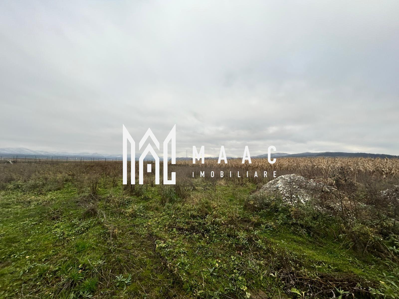 Teren intravilan | 860 mp | Deschidere 16 m | Priveliște montană | Bradu - 4