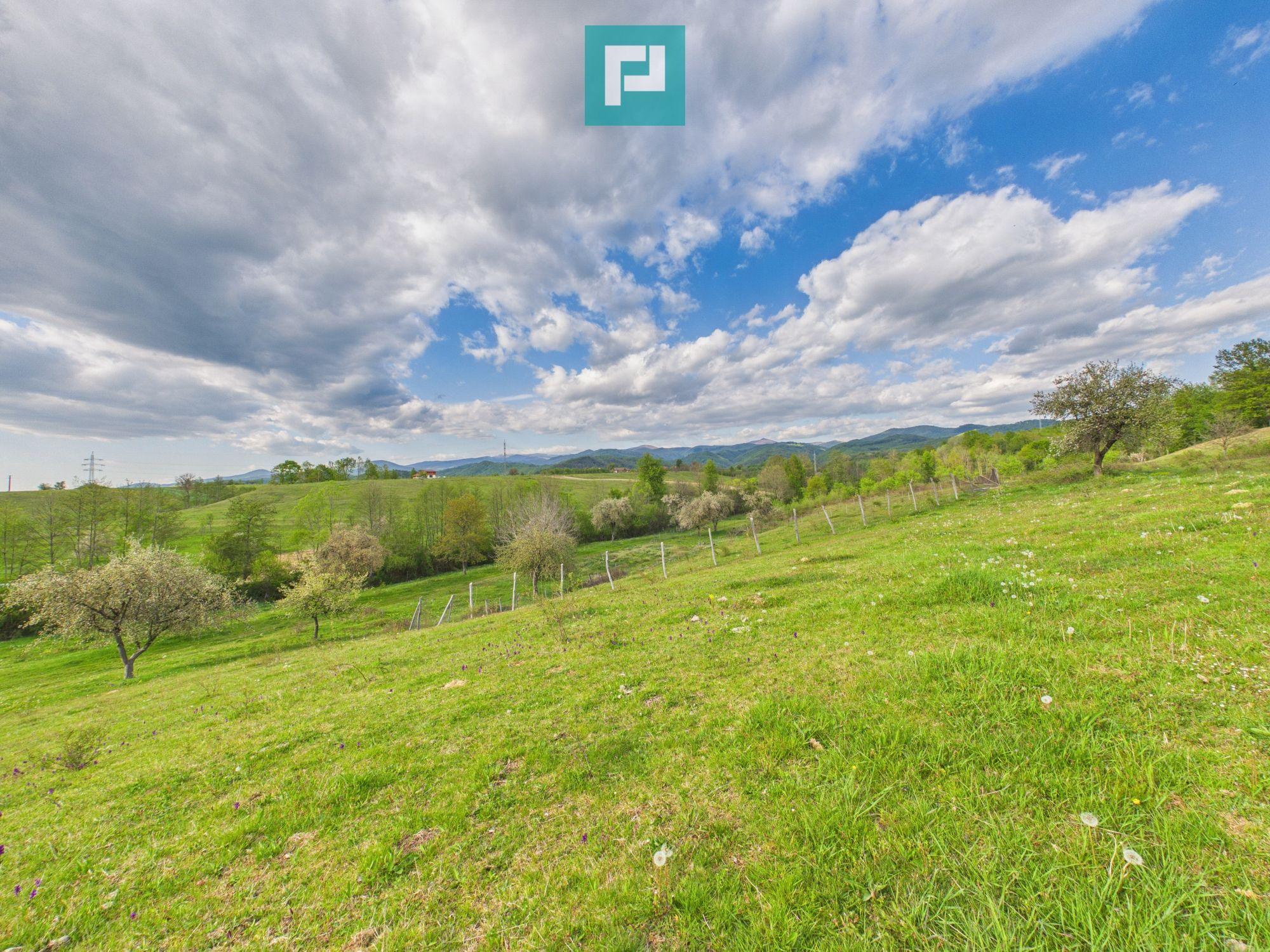 Casă cu teren de 17.681 mp, în loc. Hălmăgel, Arad - 27