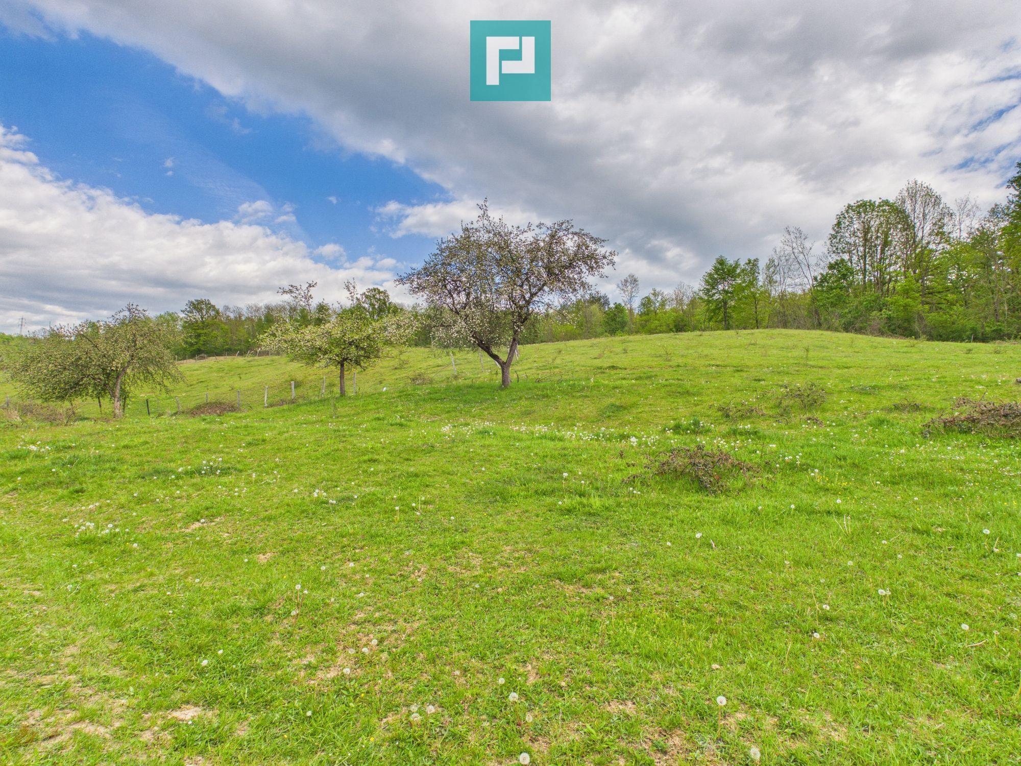 Casă cu teren de 17.681 mp, în loc. Hălmăgel, Arad - 16
