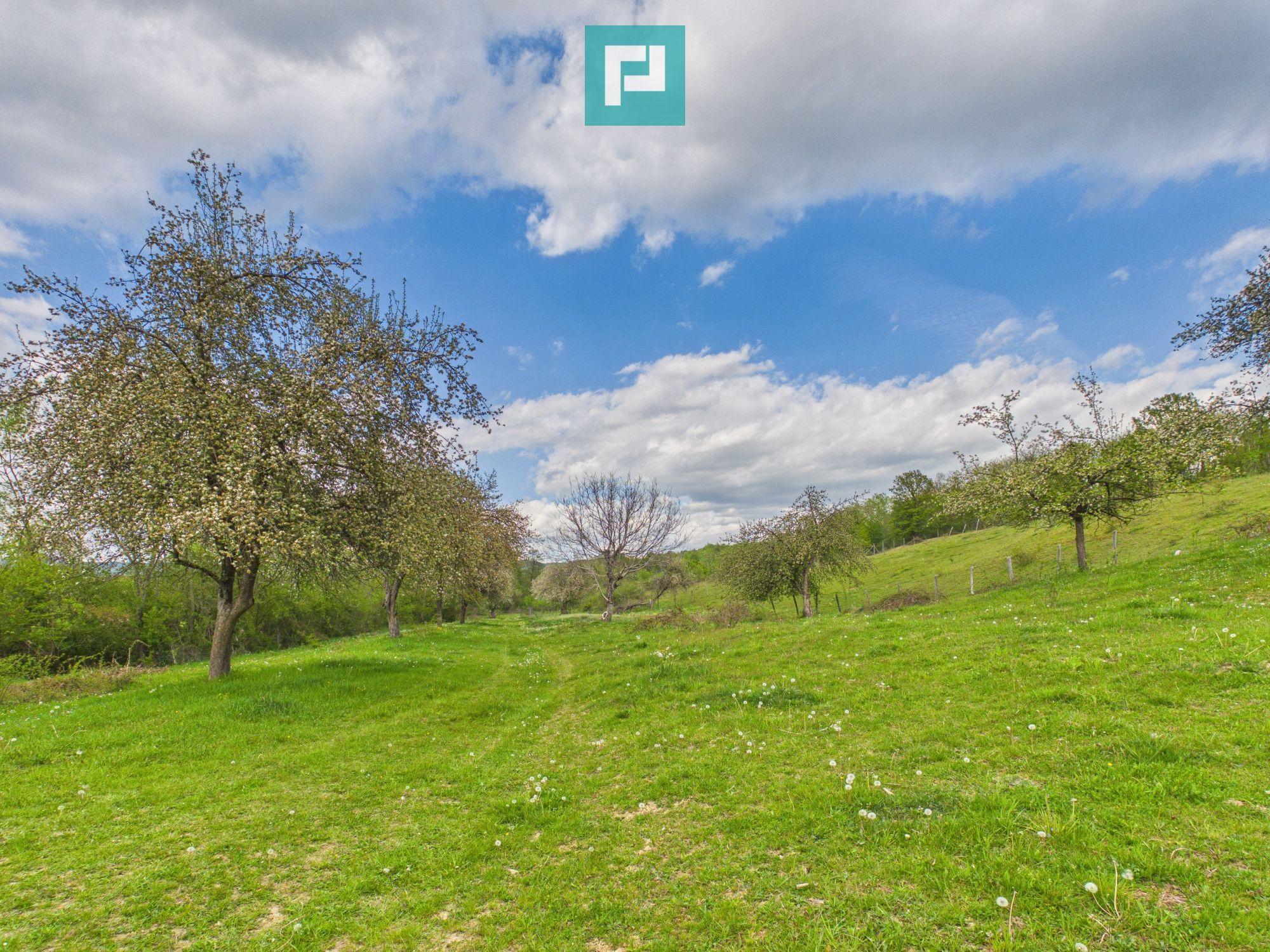 Casă cu teren de 17.681 mp, în loc. Hălmăgel, Arad - 13