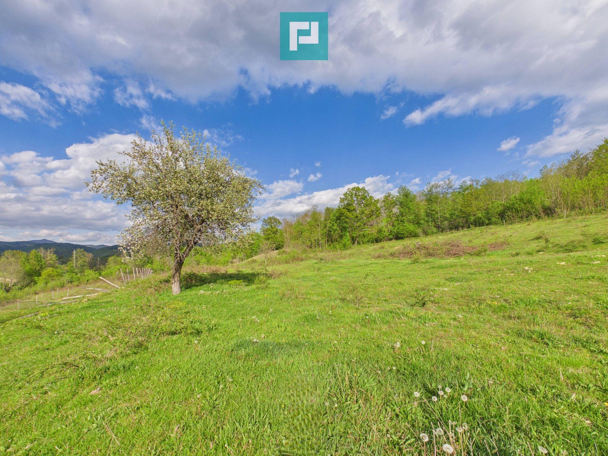 Casă cu teren de 17.681 mp, în loc. Hălmăgel, Arad - 23