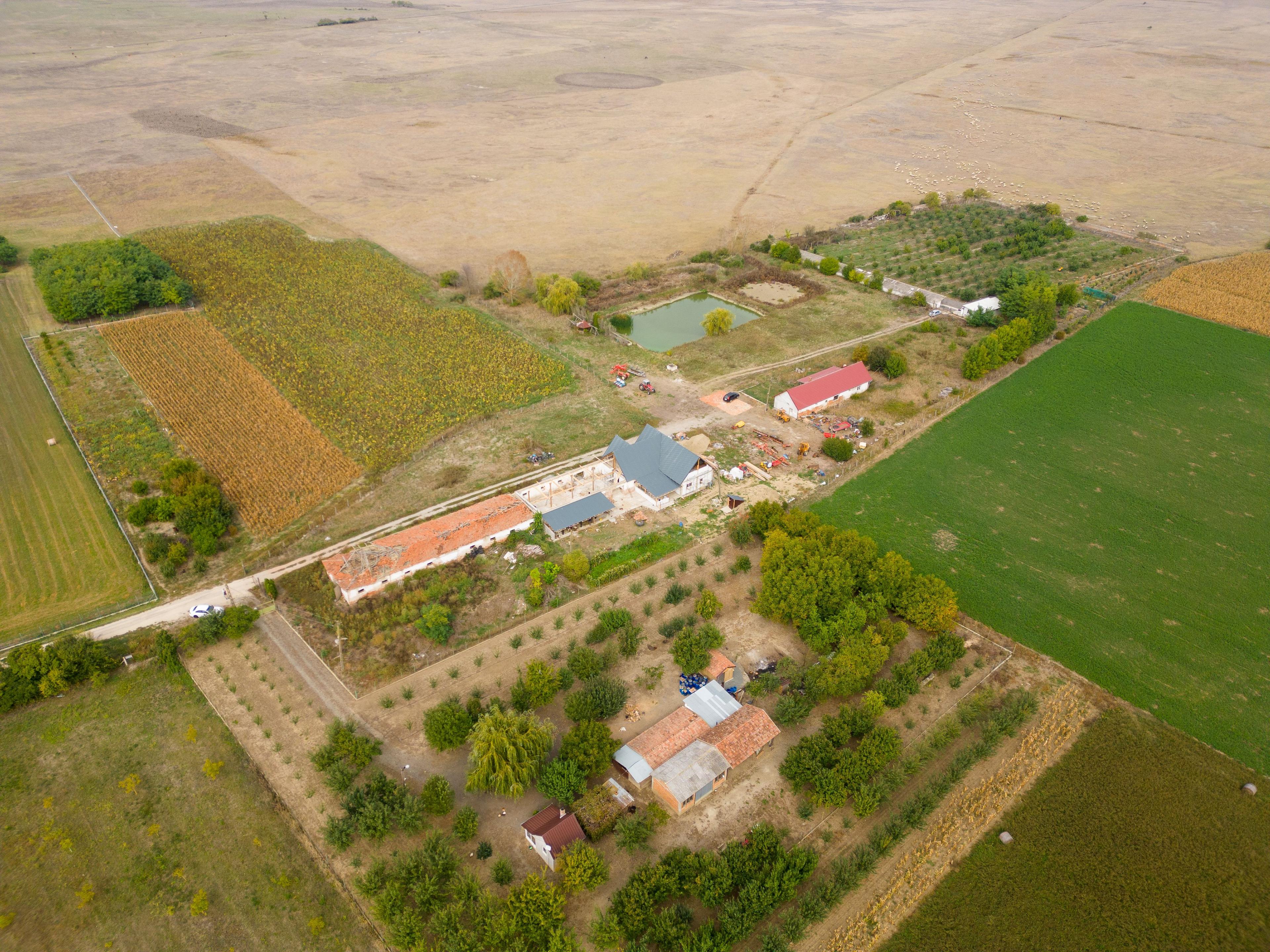 Casă cu teren 13 418 mp intravilan - 13