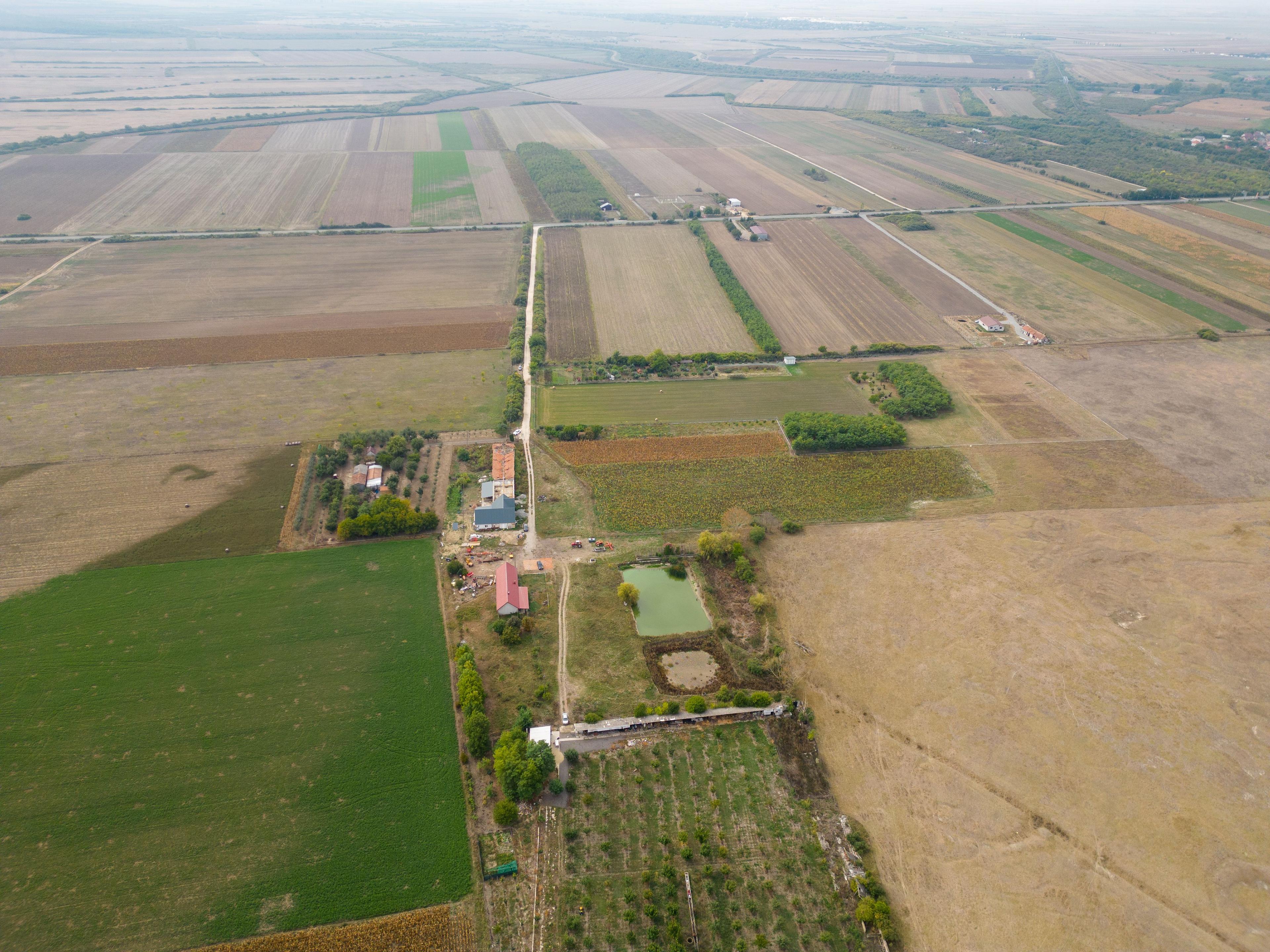 Casă cu teren 13 418 mp intravilan - 10
