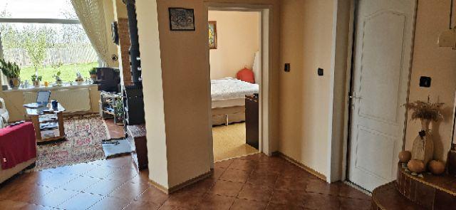 Ciopani vila 5 camere teren 4000 mp - 16