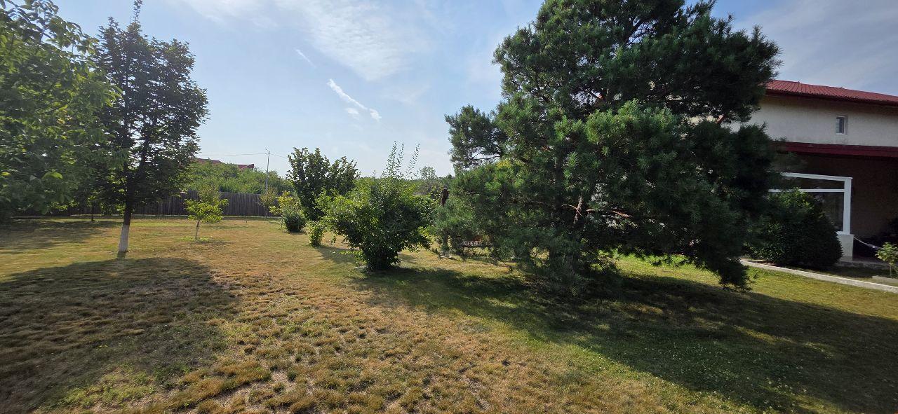 Ciopani vila 5 camere teren 4000 mp - 38