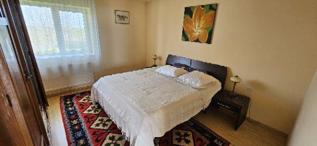 Ciopani vila 5 camere teren 4000 mp - 27