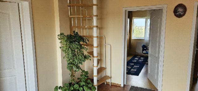Ciopani vila 5 camere teren 4000 mp - 15
