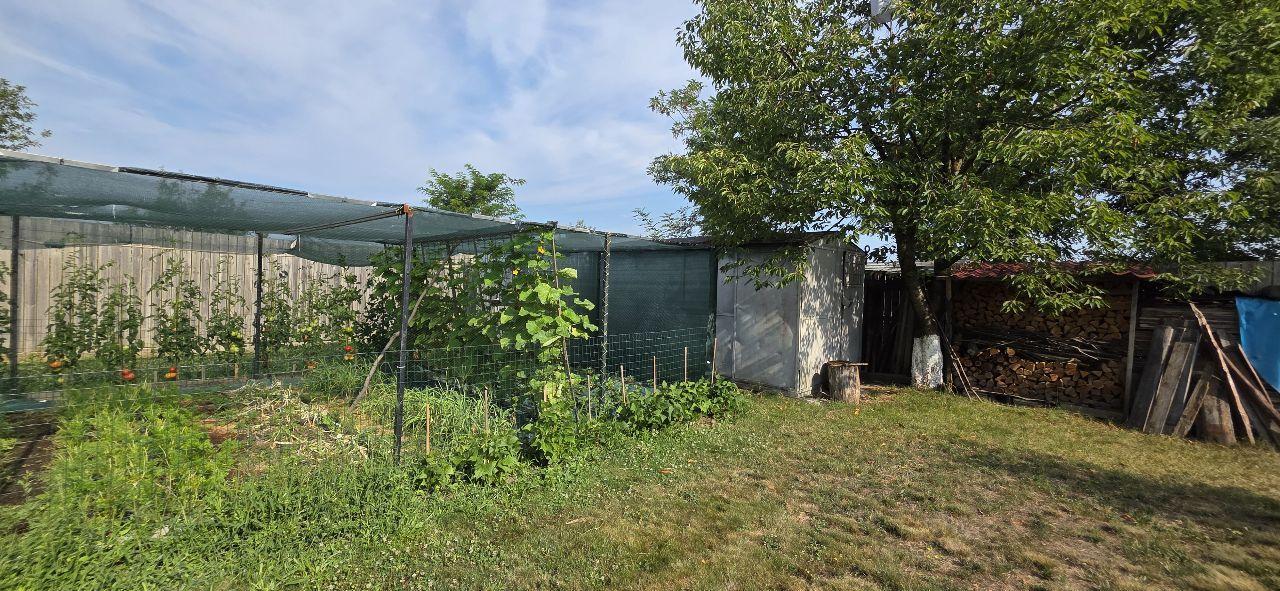 Ciopani vila 5 camere teren 4000 mp - 36
