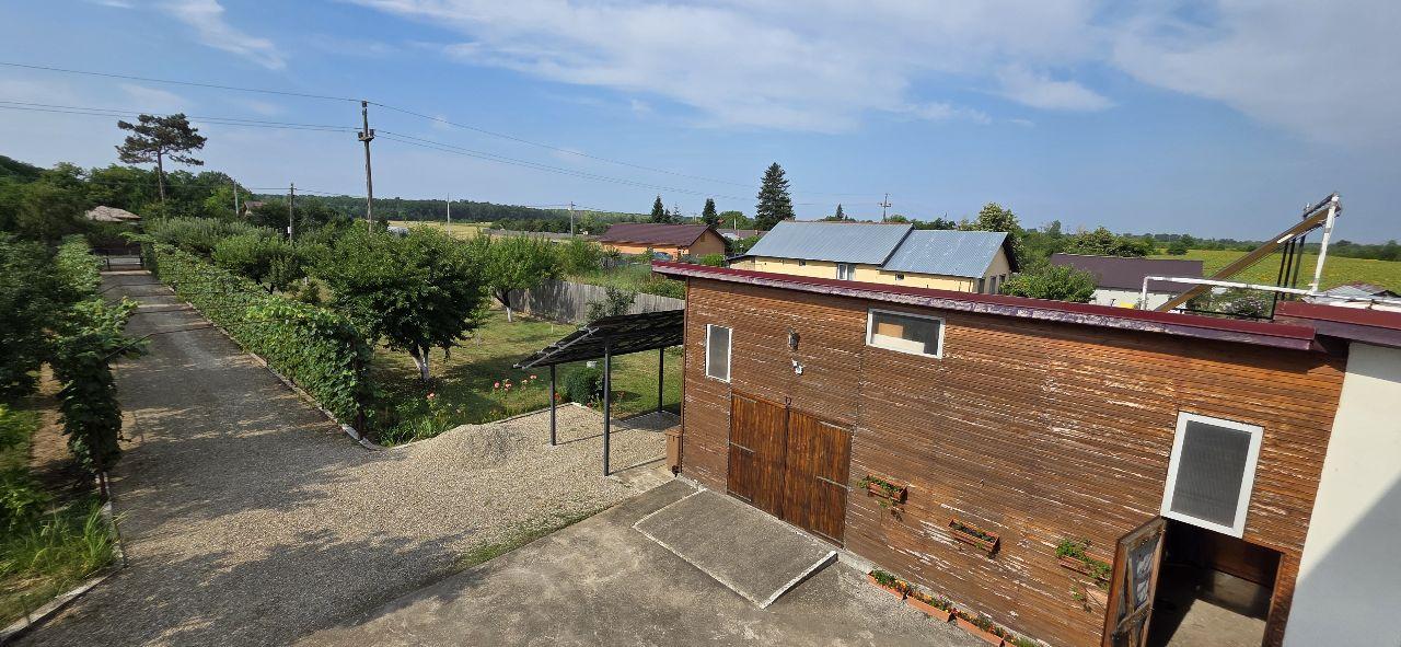 Ciopani vila 5 camere teren 4000 mp - 44