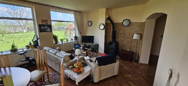 Ciopani vila 5 camere teren 4000 mp - 22