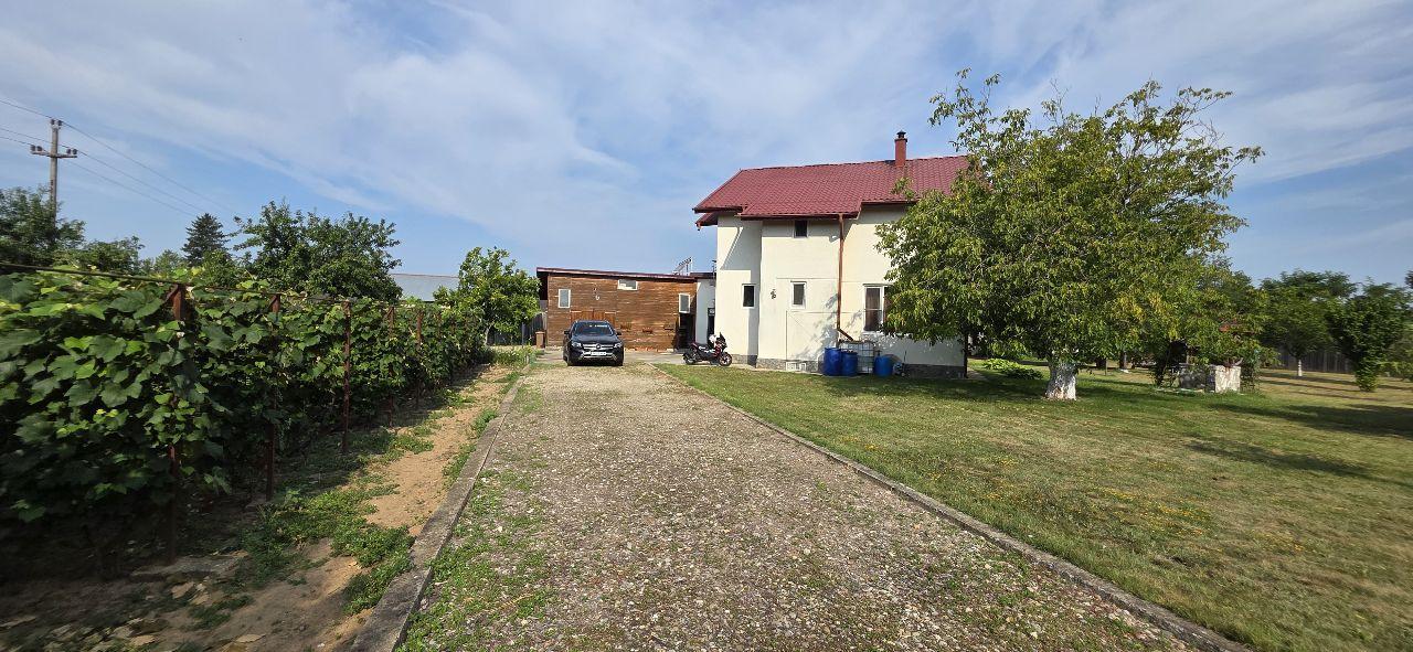 Ciopani vila 5 camere teren 4000 mp - 42