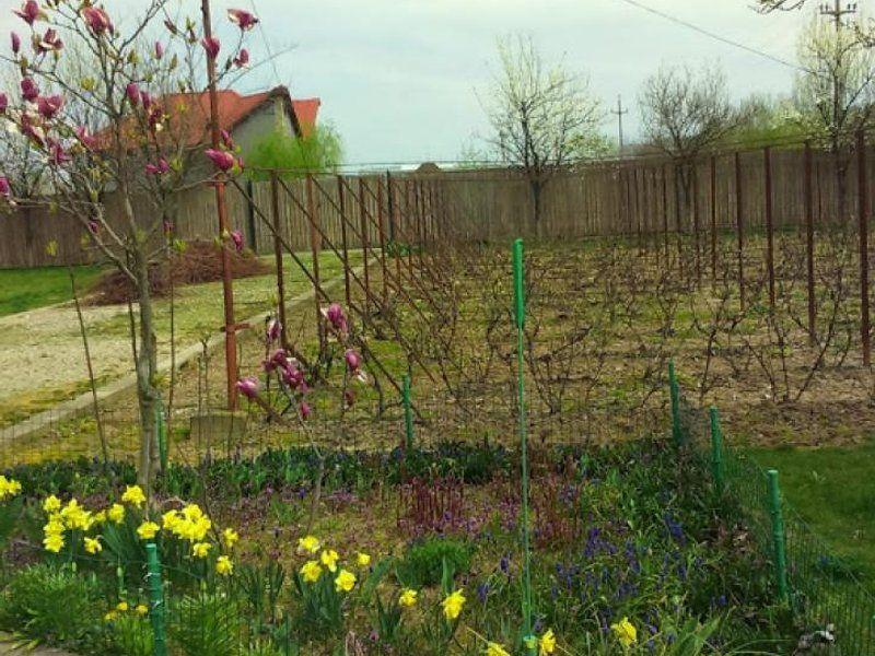 Ciopani vila 5 camere teren 4000 mp - 6