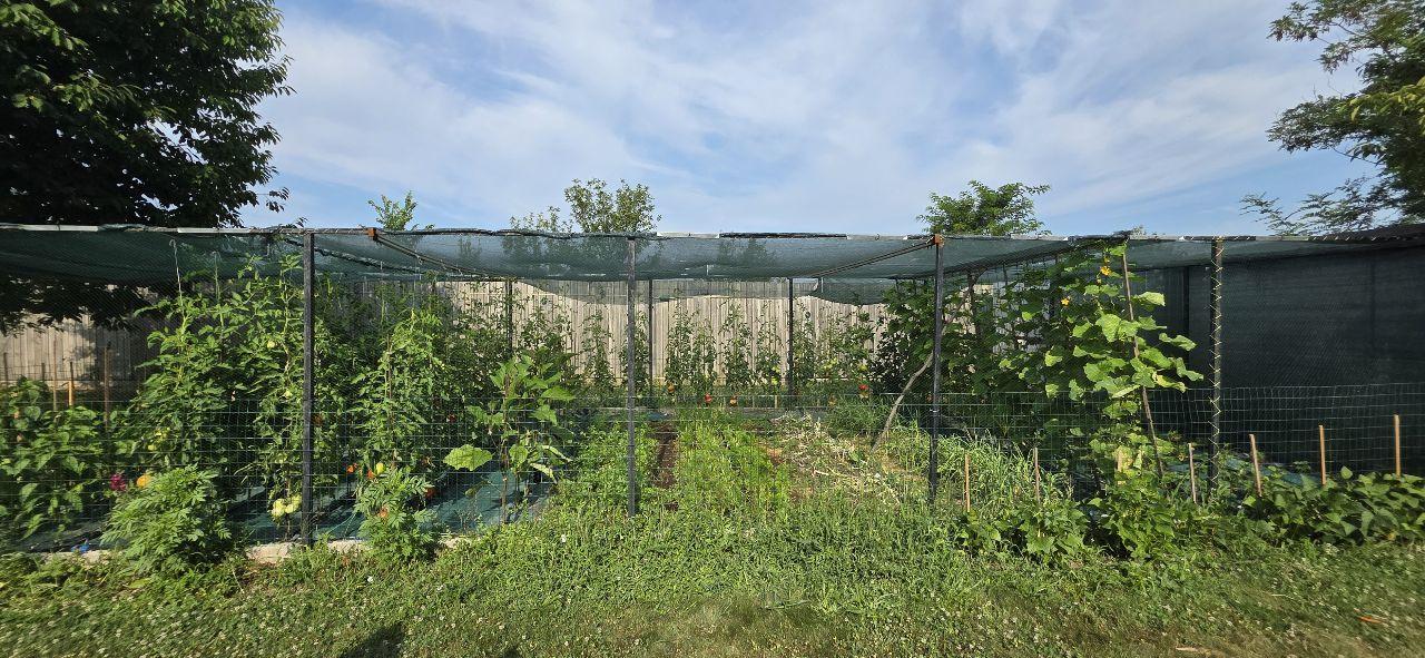 Ciopani vila 5 camere teren 4000 mp - 35