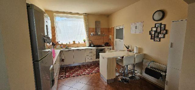 Ciopani vila 5 camere teren 4000 mp - 20