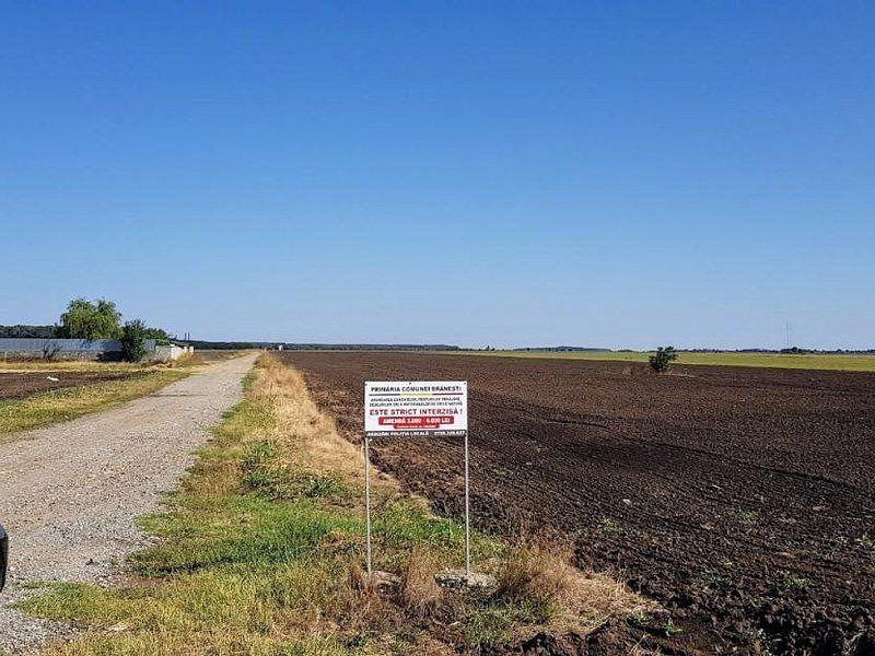 Teren intravilan de vânzare Brănești – DN3, deschidere 60 ml investie - 10