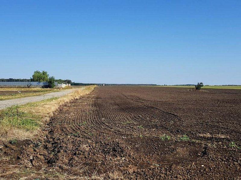 Teren intravilan de vânzare Brănești – DN3, deschidere 60 ml investie - 8