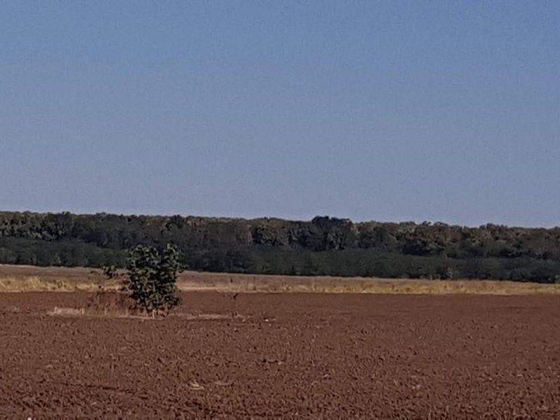 Teren intravilan de vânzare Brănești – DN3, deschidere 60 ml investie - 6
