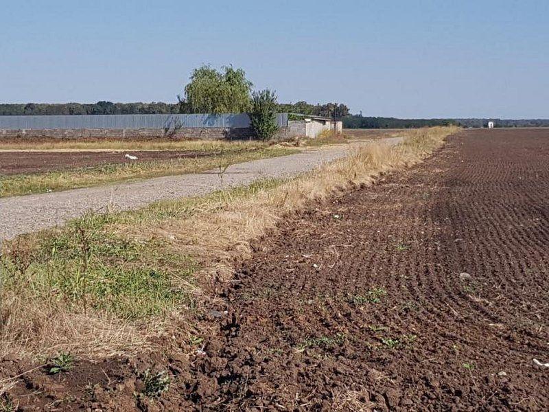 Teren intravilan de vânzare Brănești – DN3, deschidere 60 ml investie - 3