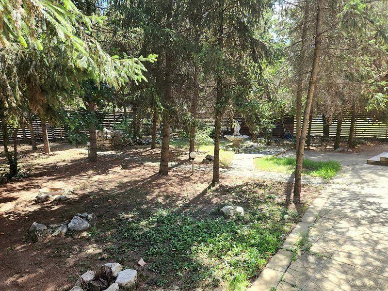 Baneasa Teisani vila 7 camere teren 1000 mp - 5