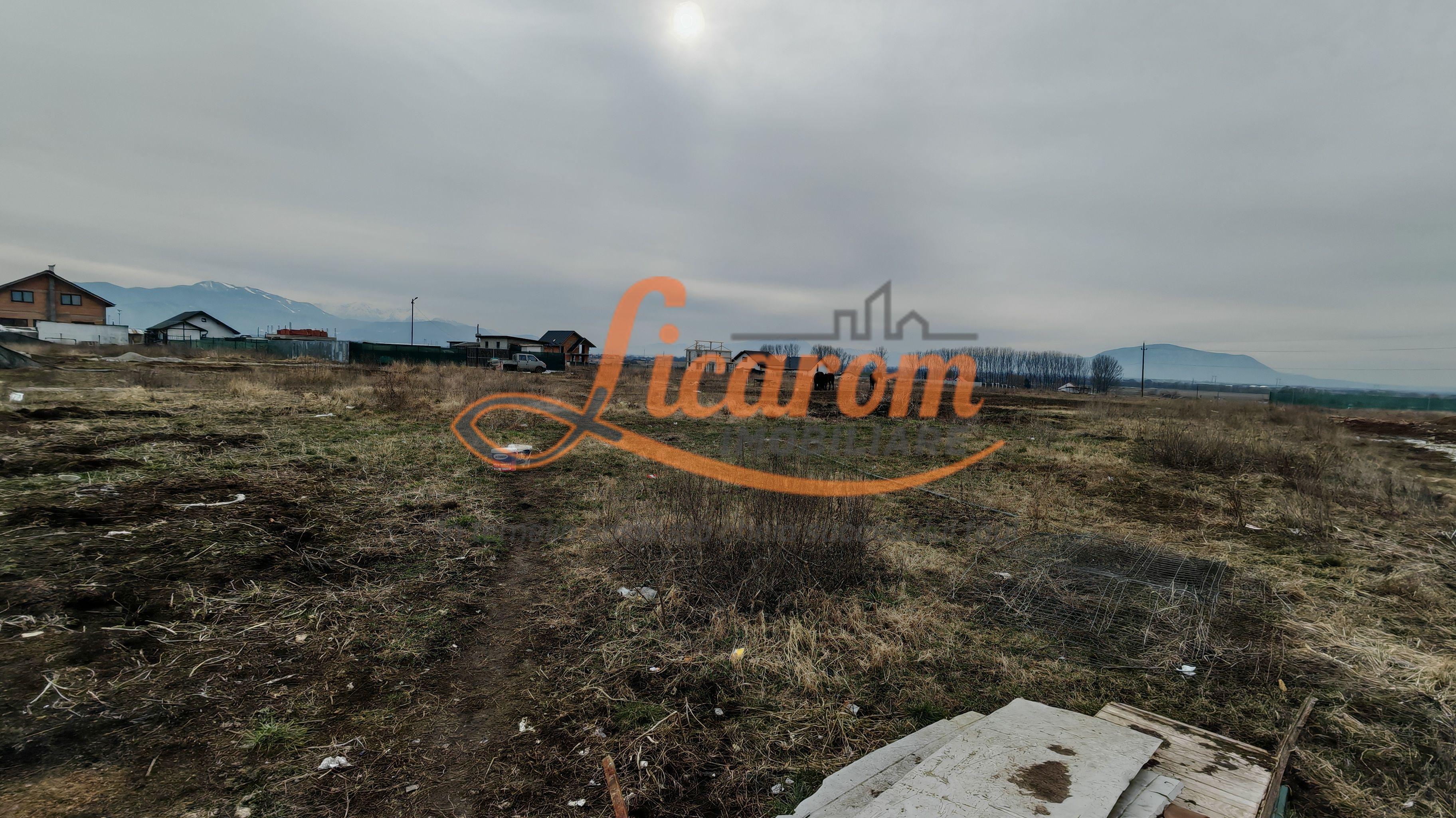 Teren intravilan in suprafata de 644 mp in Sanpetru pret 37000 euro - 3