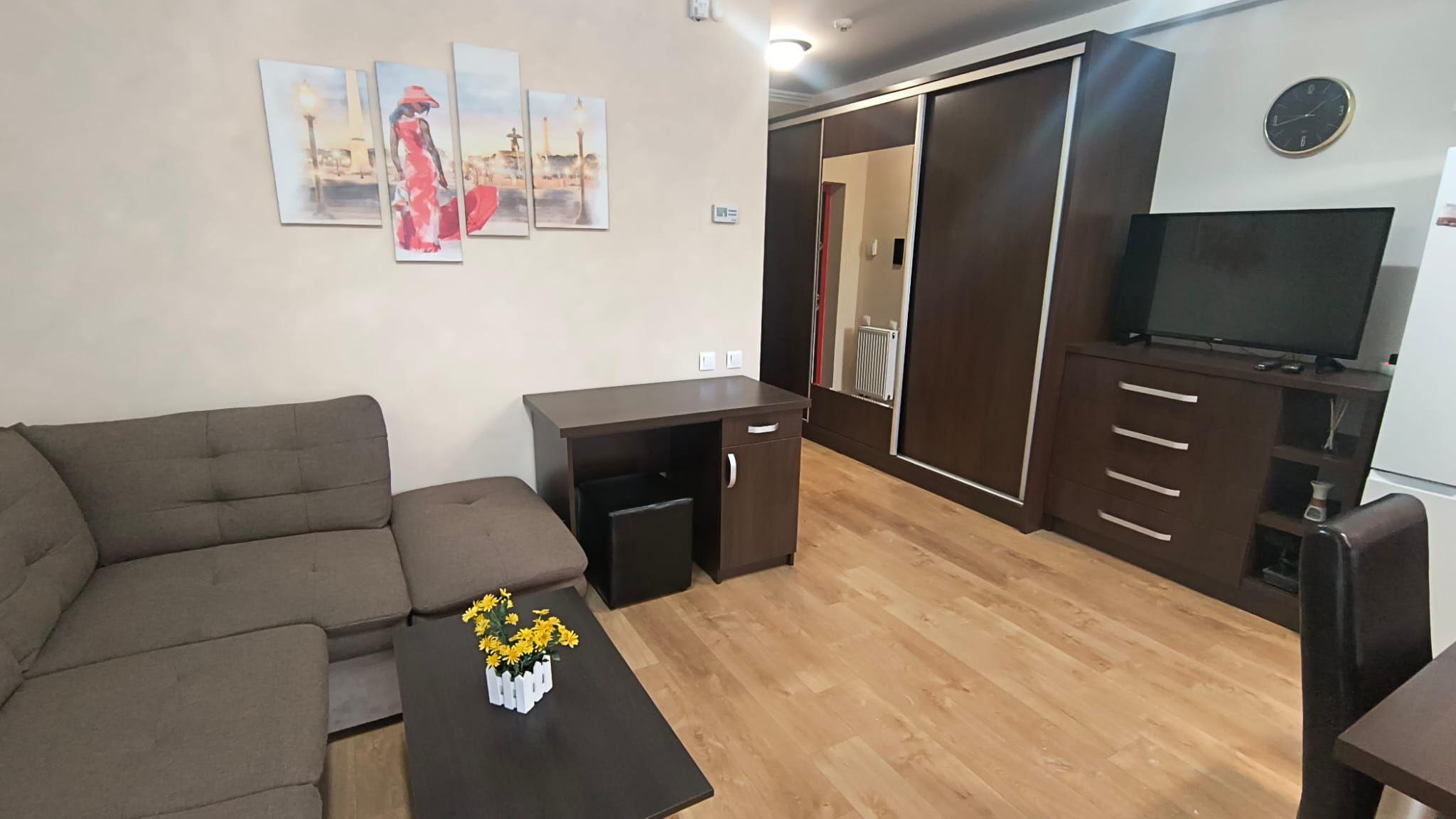 Apartament ARED cu 1 camera, St. O. Iosif, Oradea, 300 euro/luna - 4