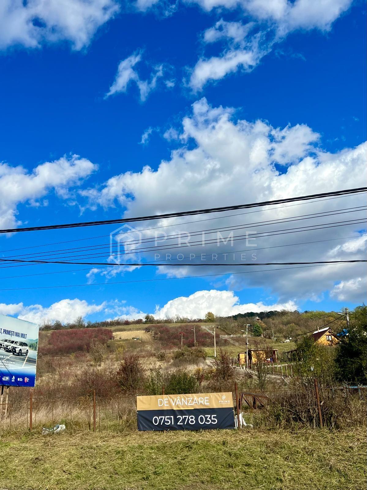 Teren cu potențial multiplu de dezvoltare – Corunca, E60, 10.000 mp - 2
