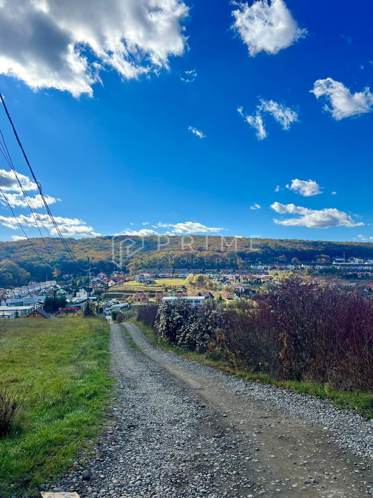 Teren cu potențial multiplu de dezvoltare – Corunca, E60, 10.000 mp - 3