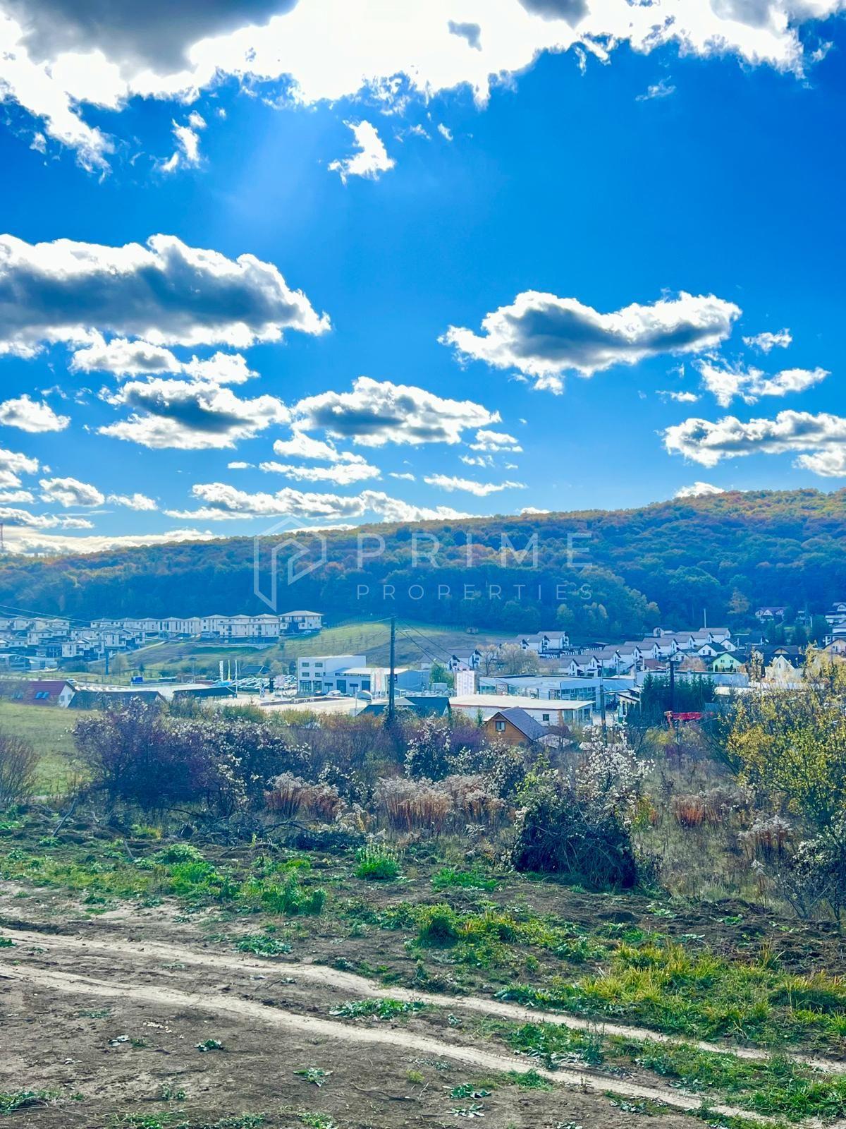 Teren cu potențial multiplu de dezvoltare – Corunca, E60, 10.000 mp - 1
