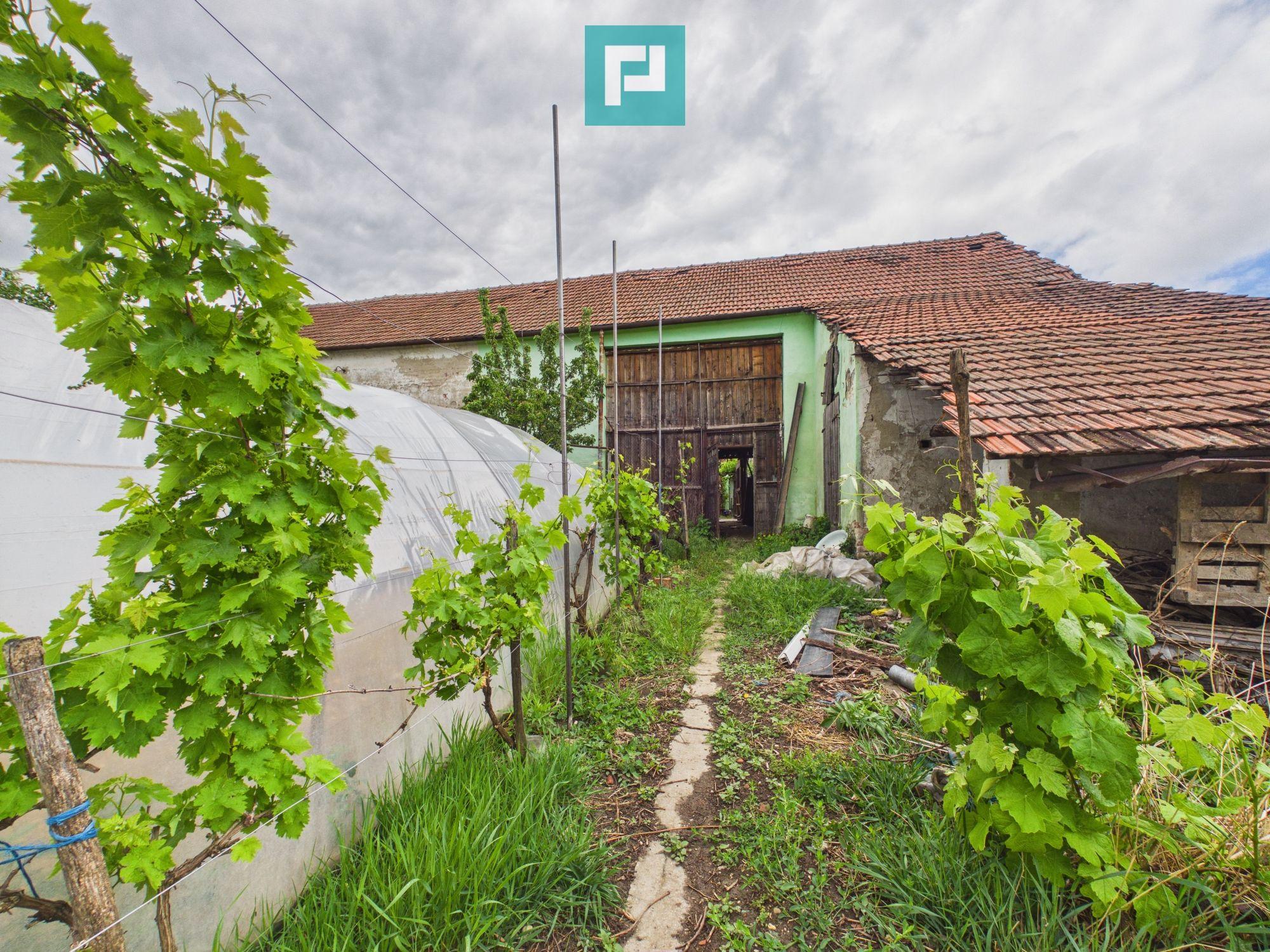 Casa cu teren 1050mp, Aradul Nou - 4