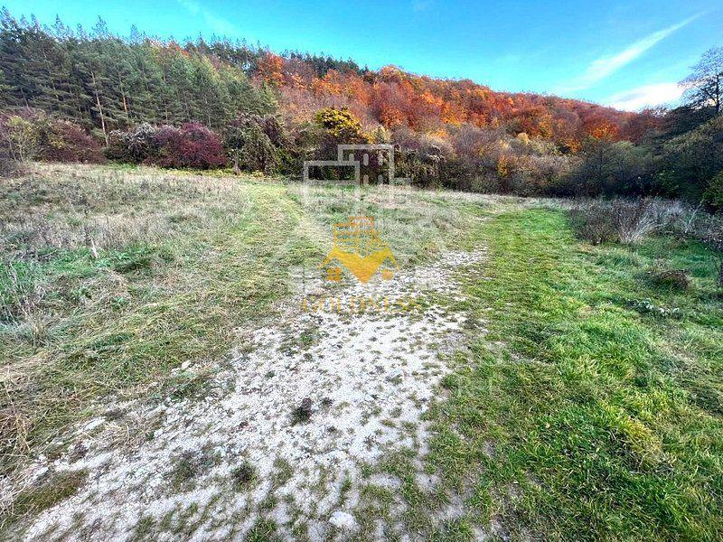Teren intravilan, 1500 mp, zona Roata Faget - 5