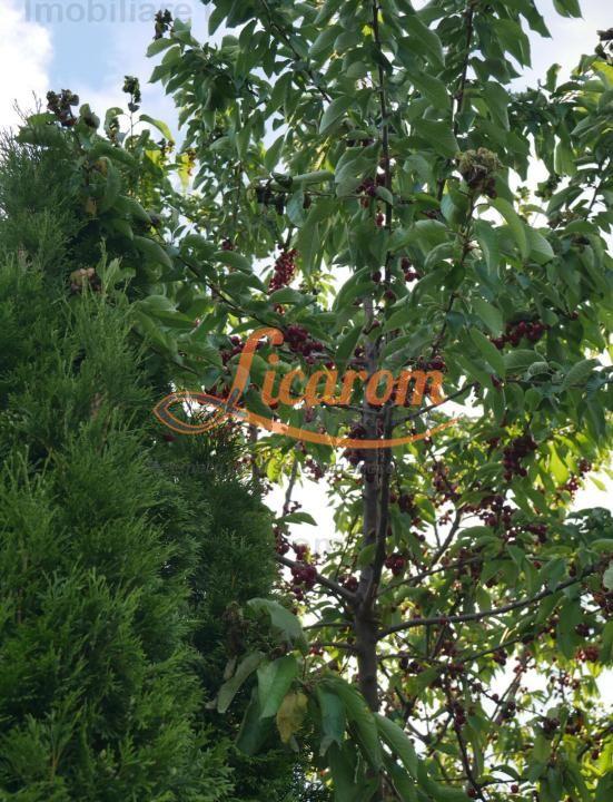 Vila Stupini pentru diverse activitati(gradinita after school),sau locuit - 17