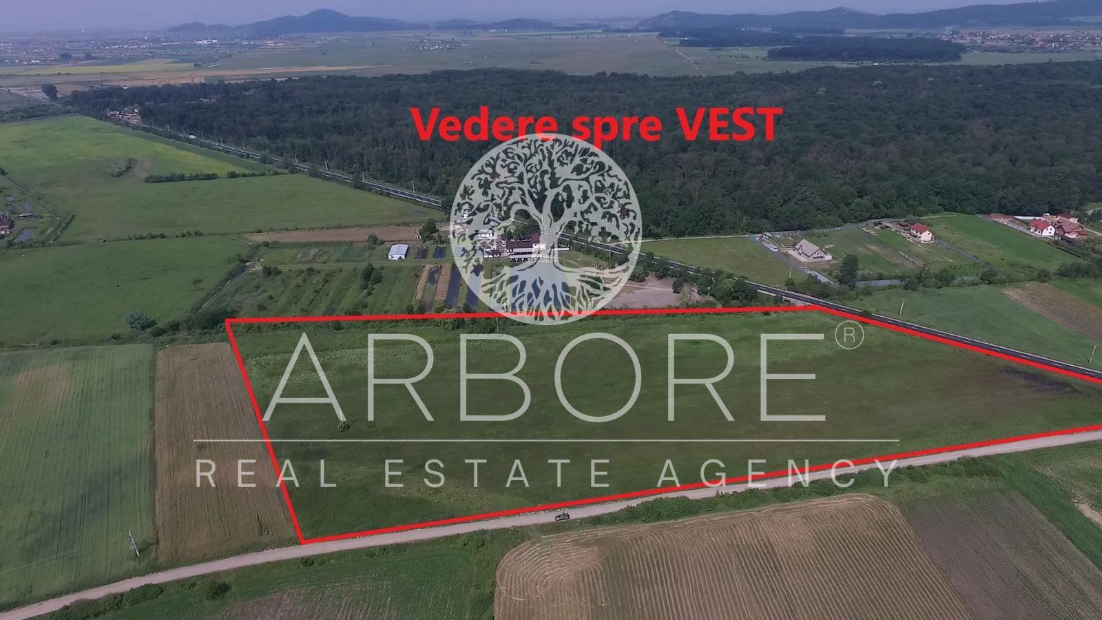 Teren Industrial 45.000 mp | PUZ Aprobat | DN11 Prejmer Brașov