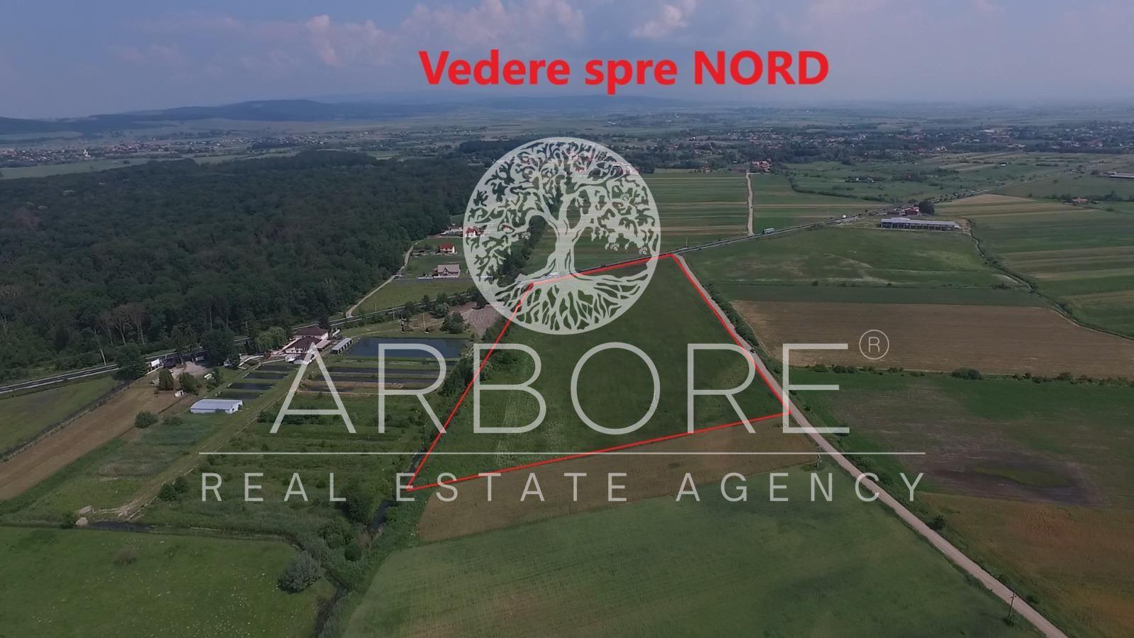 Teren Industrial 45.000 mp | PUZ Aprobat | DN11 Prejmer Brașov - 2