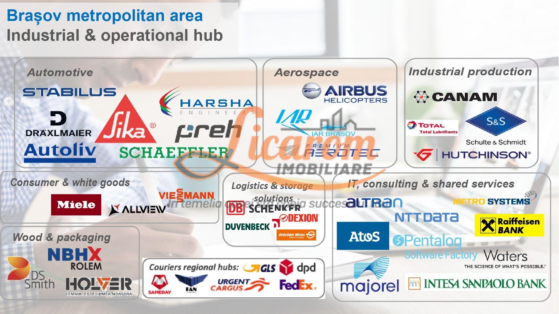 Codlea teren constructii industriale sau logistice 8 ha pana la 24 Ha - 5