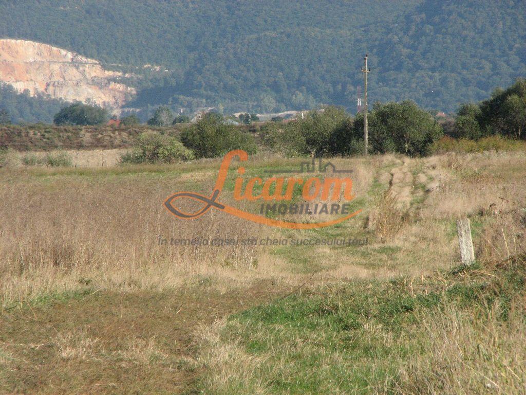Codlea teren constructii industriale sau logistice 8 ha pana la 24 Ha - 14