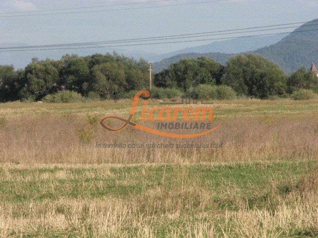 Codlea teren constructii industriale sau logistice 8 ha pana la 24 Ha - 15
