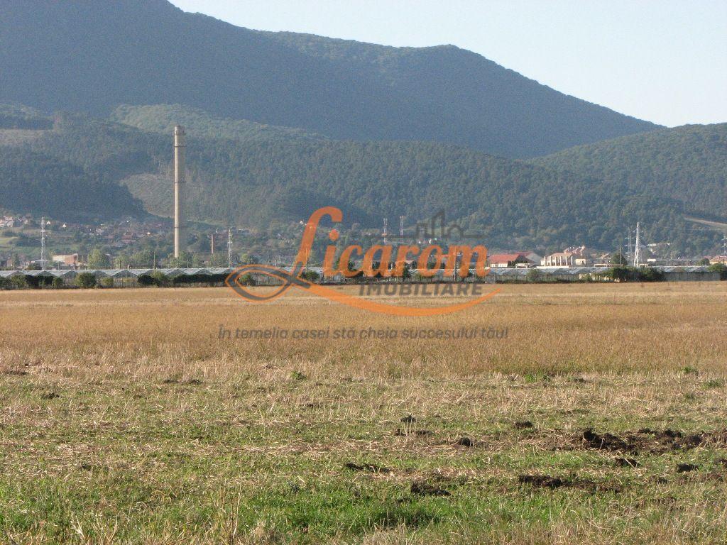 Codlea teren constructii industriale sau logistice 8 ha pana la 24 Ha - 10