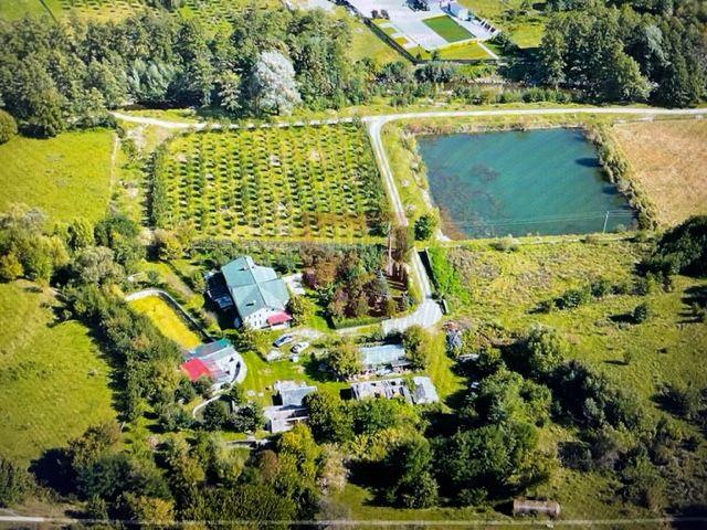 O proprietate de exceptie la Corbi, 18 ha, izvor, lac, pastravarie - 2