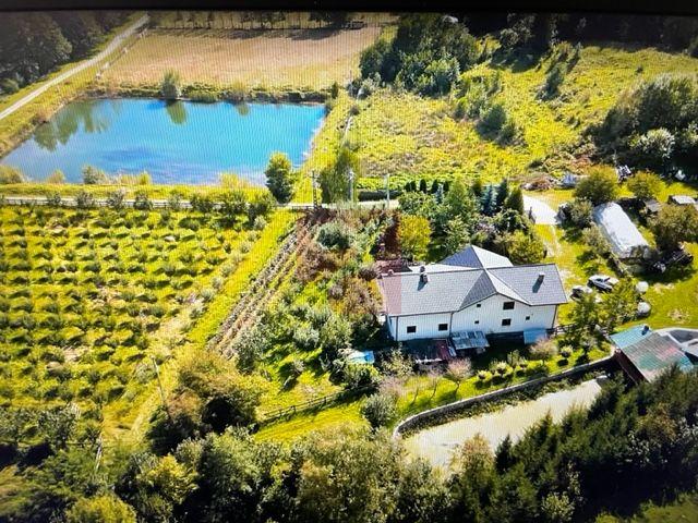 O proprietate de exceptie la Corbi, 18 ha, izvor, lac, pastravarie - 4
