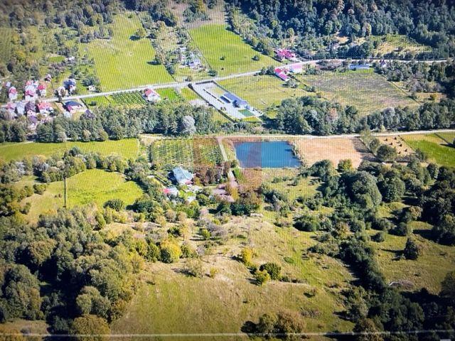 O proprietate de exceptie la Corbi, 18 ha, izvor, lac, pastravarie - 8