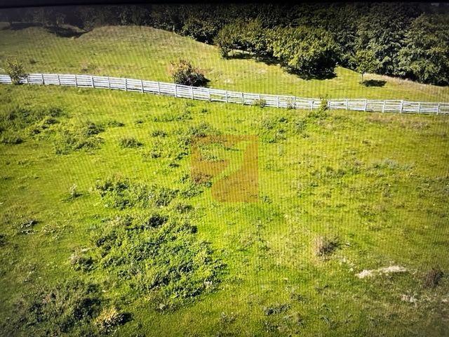 O proprietate de exceptie la Corbi, 18 ha, izvor, lac, pastravarie - 9