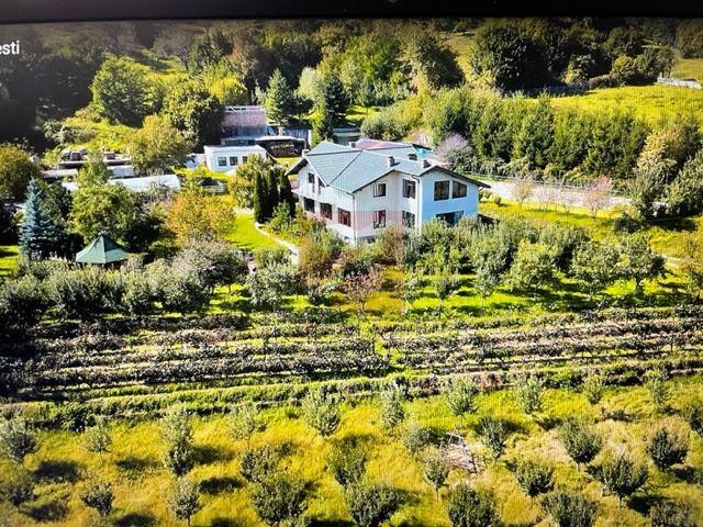 O proprietate de exceptie la Corbi, 18 ha, izvor, lac, pastravarie - 3