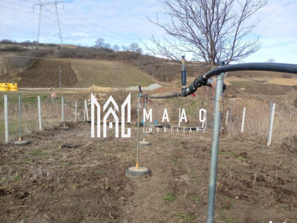 Teren în zonă de dezvoltare | 700 mp | Șura Mare - 4