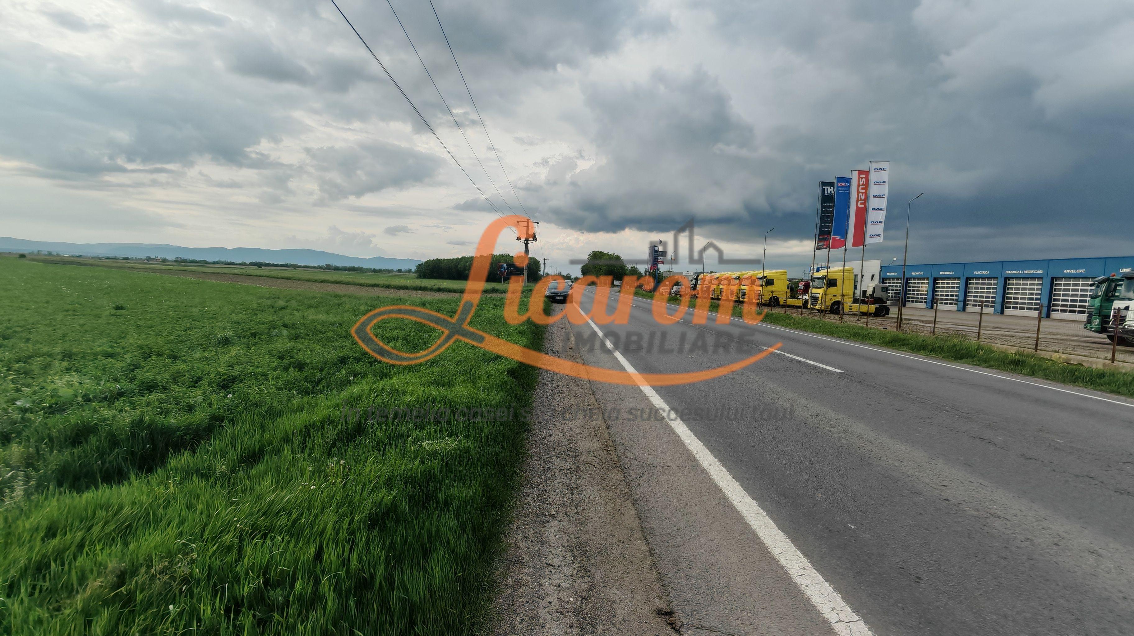 Teren Stupini Calea Feldioarei 11800 mp,25 euro/mp, front asfalt-DN13 - 3