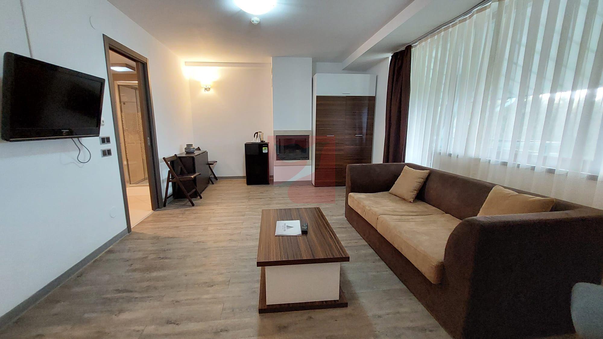 2 camere, intim, semineu, Silver Mountain - 4