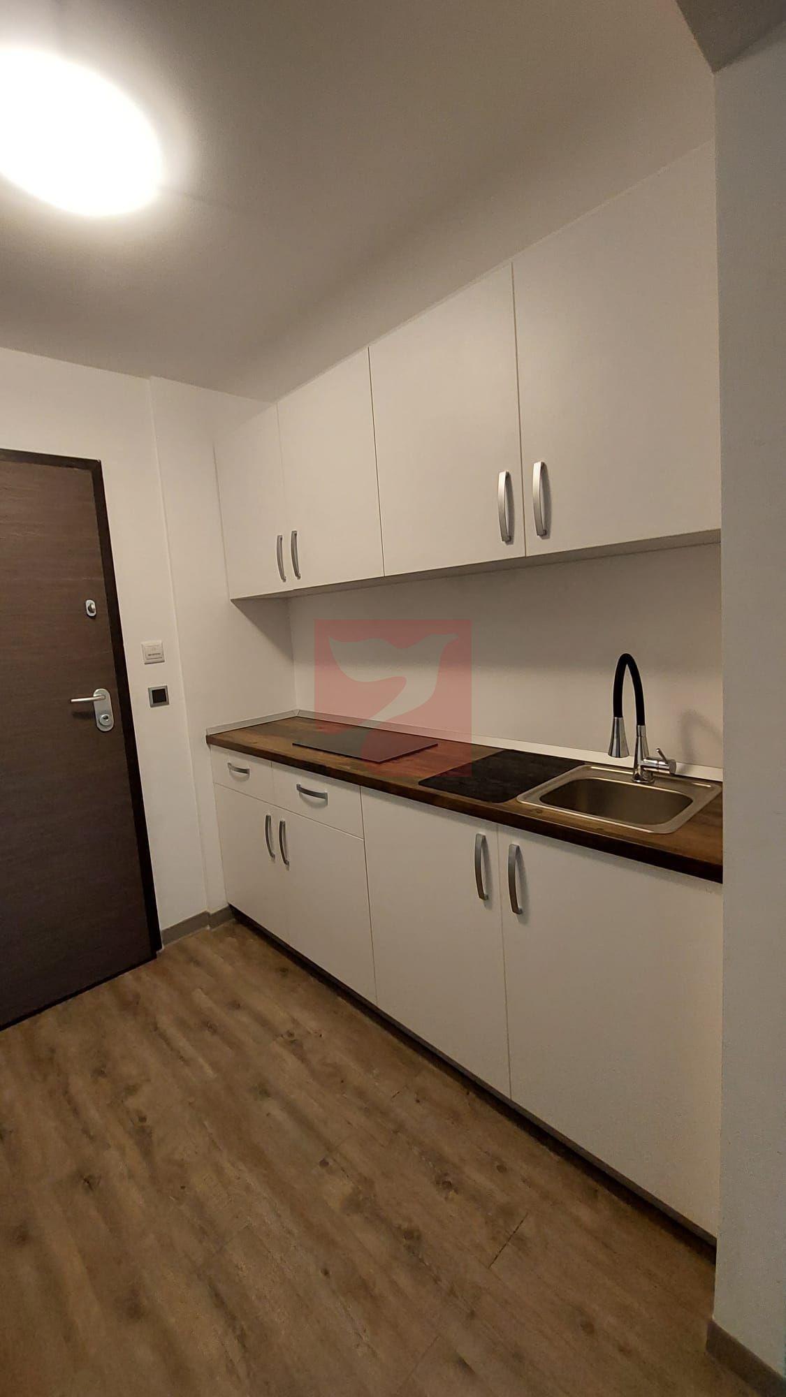 2 camere, intim, semineu, Silver Mountain - 6