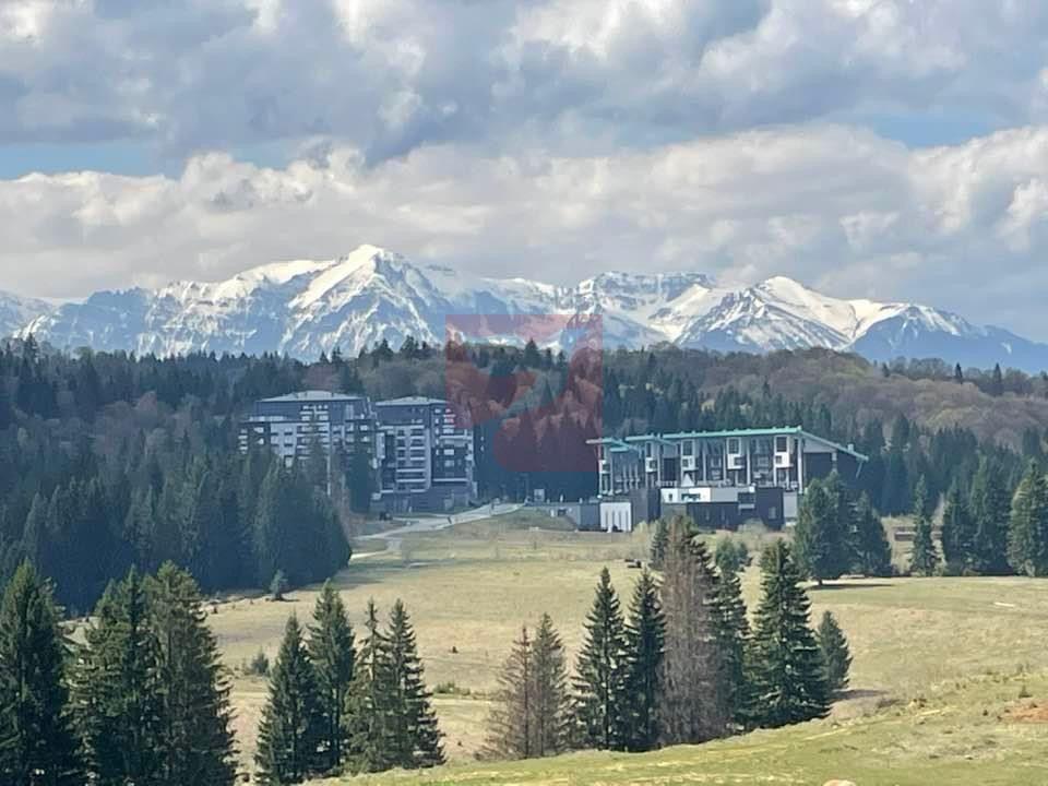 2 camere, intim, semineu, Silver Mountain - 21