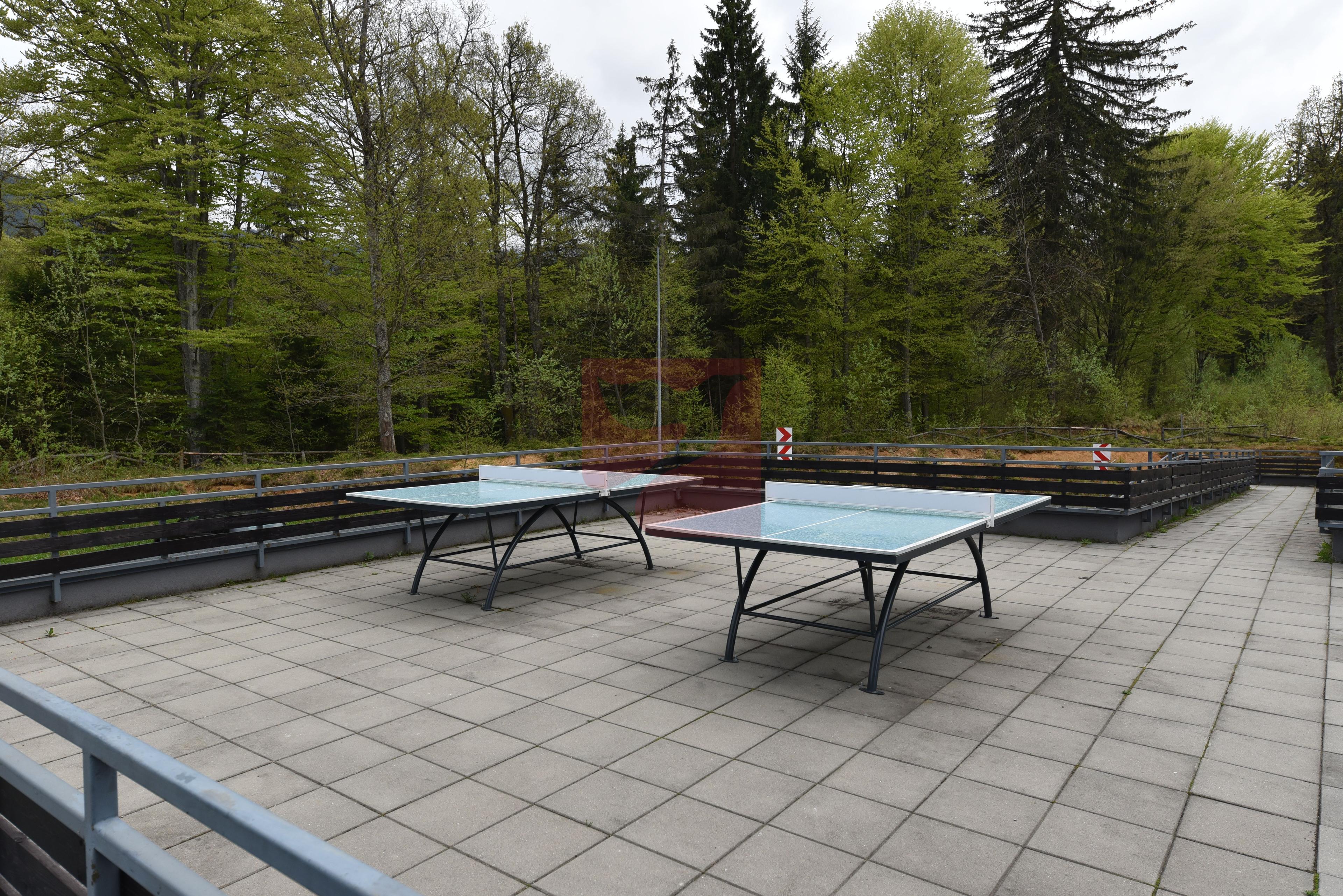 2 camere, intim, semineu, Silver Mountain - 19