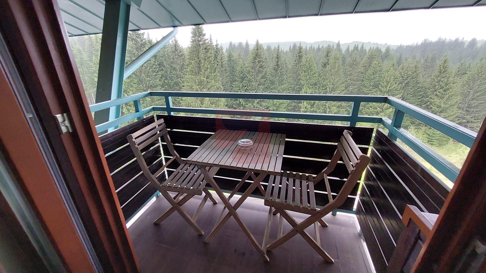 2 camere, intim, semineu, Silver Mountain - 14