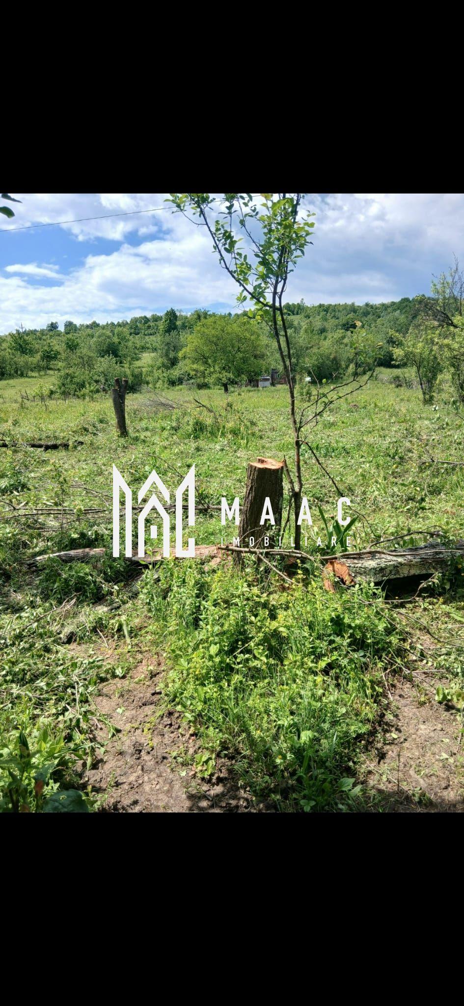 Teren Salatrucel | 8300 m | 12 euro/ metru | Intravilan si extravilan | - 3